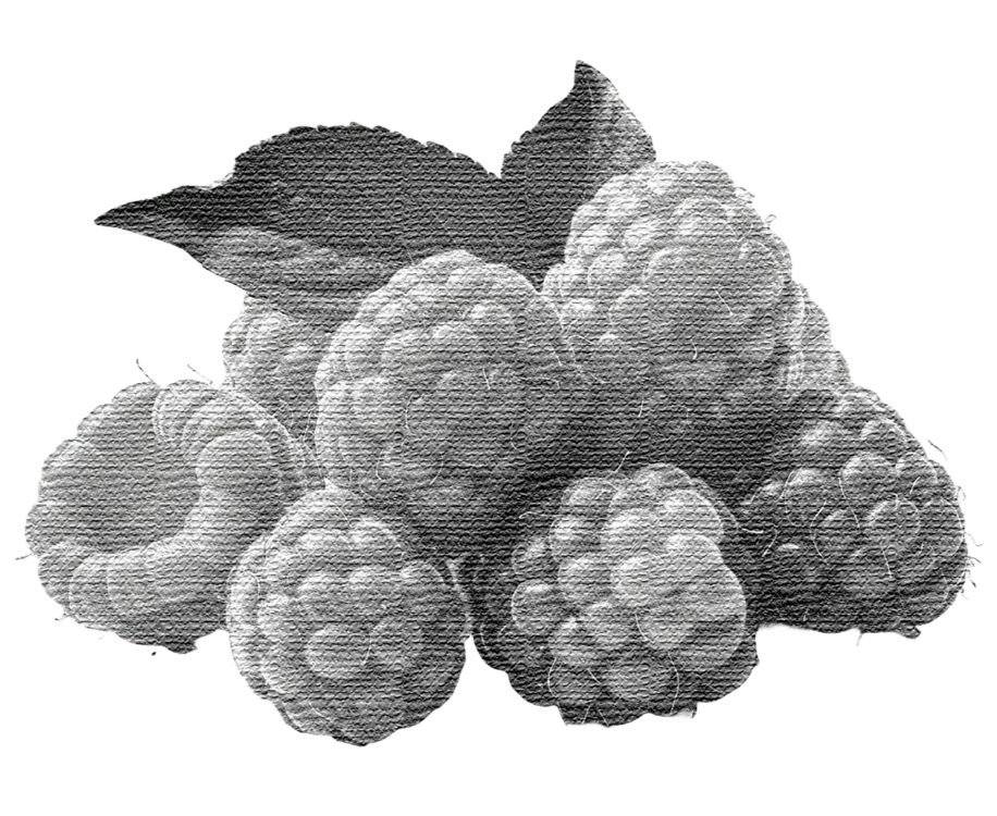  gummies