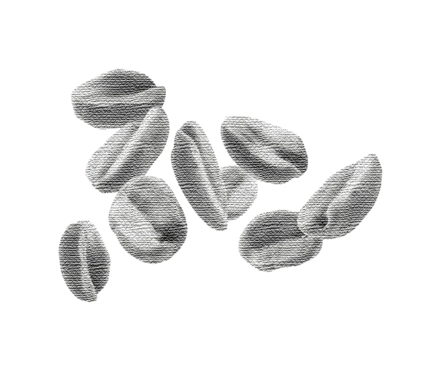  gummies