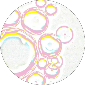 Pharmacienne conseil gummies composition qualité bienfaits contact client