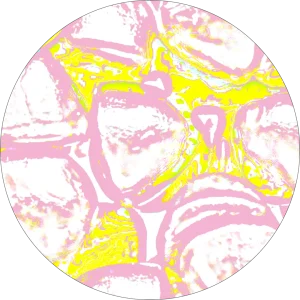 Gummies écoresponsables vegan sans gélatine animale pectine fruit piluliers recyclables