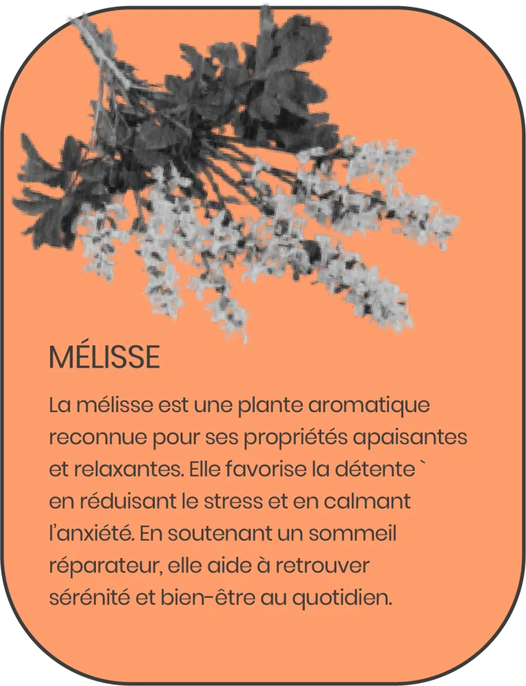 gummies-detente-melisse