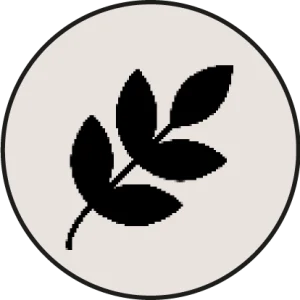 Gummies magnésium sans gluten