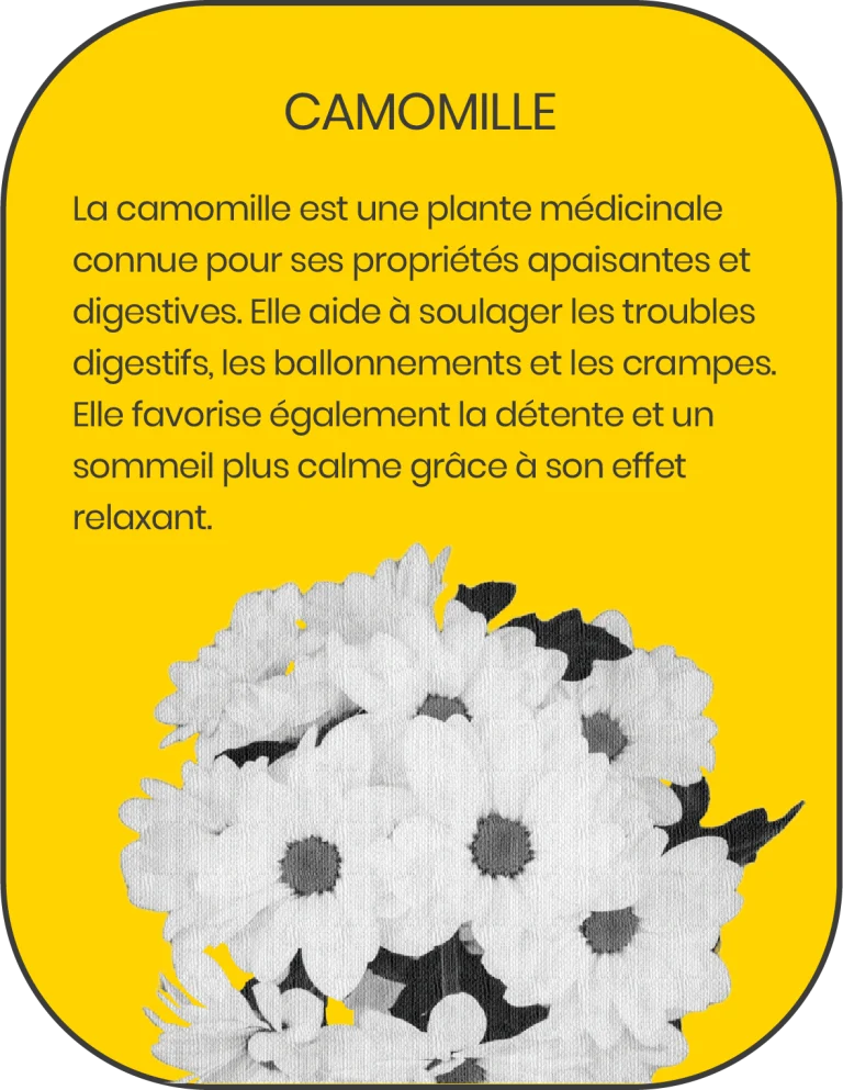 gummies-sommeil-camomille