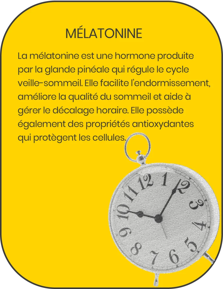 gummies-sommeil-melatonine